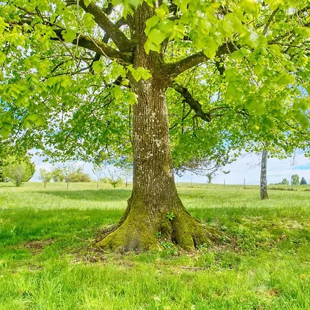 Plantivel, La Maison Allemans